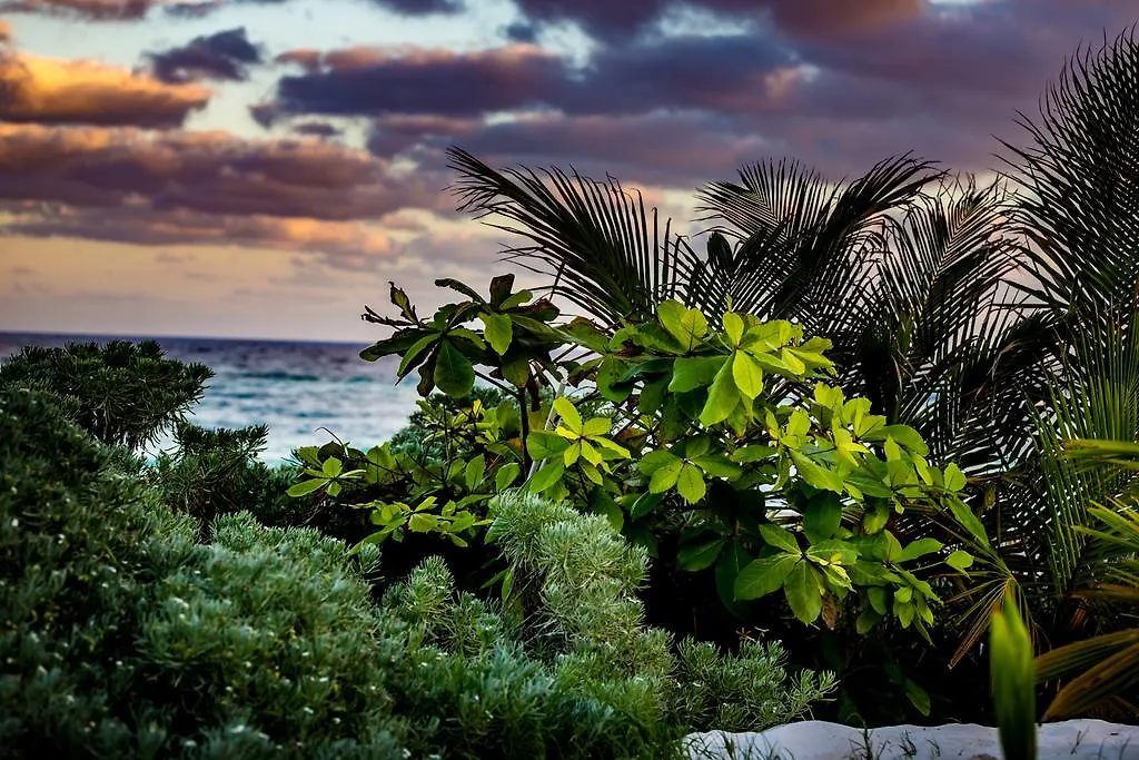 Maxa Camp Villa Tulum 0*,
