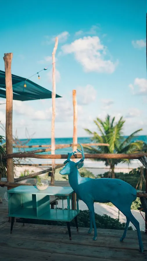 Maxa Camp Villa Tulum Holiday park